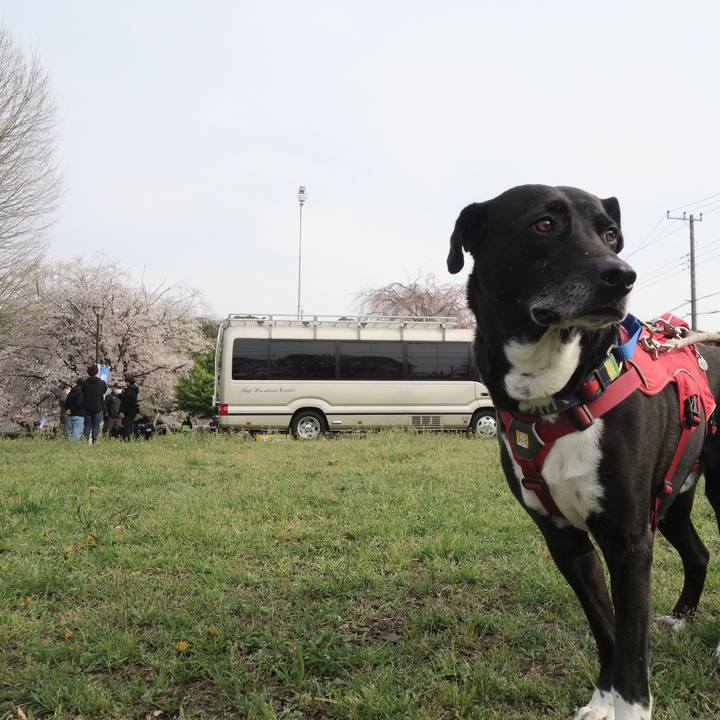 8c65fd0c 5d0d 4625 8183 48968f6a3ebc 1680232611547