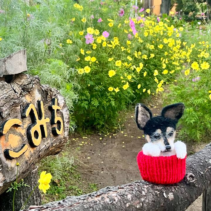 8c665776 ed45 4552 a3a7 931e2a118b96 1699055295611