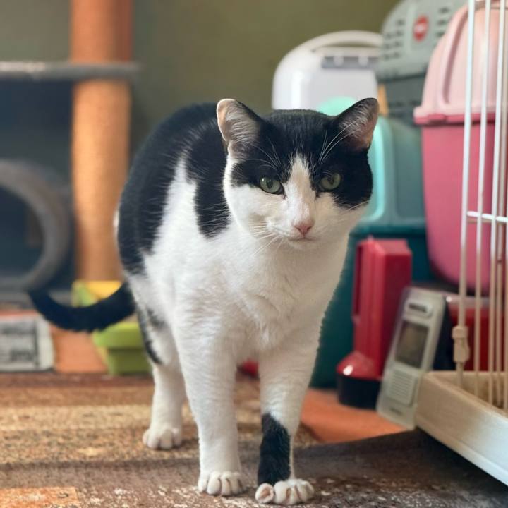 8c6696b5 0430 48eb 836f cd437a6715a5 1736302224147