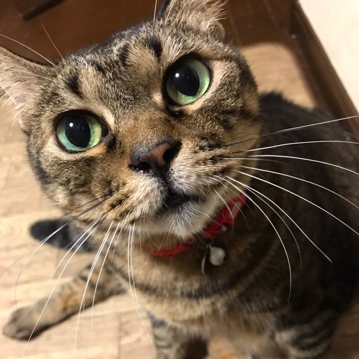 8c66cb0d 06e0 40b1 936a bbd0231fcb3d 1631189630643