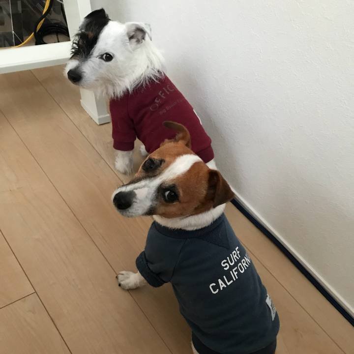 8c66d24f cf4d 412f ad11 f072e81bdca6 1519114909484