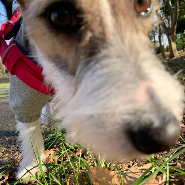 8c66ef2b 9f91 40a5 aa3a 6a05a98a0f15 1582099610880