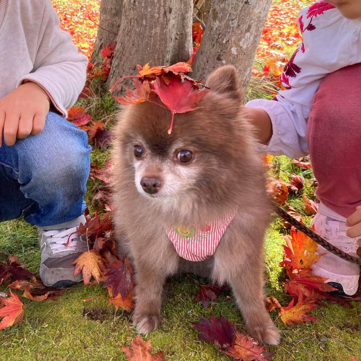 8c6706aa e8d6 4089 b2d6 280aa1966ebe 1666411801643