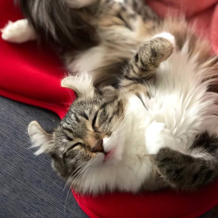 8c672aa2 e578 4389 9293 53d1bf1c5977 1516861039264