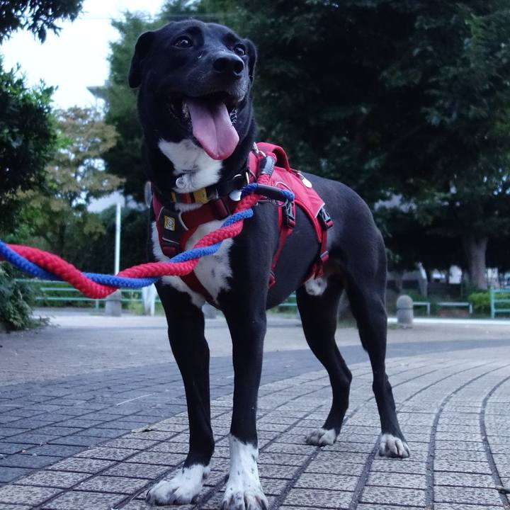 8c6730f4 4032 4755 8f47 5d4780fd6748 1598091054325