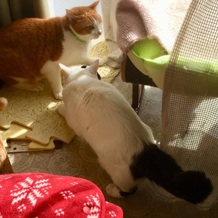 8c67320d debf 46e6 9083 3efee9046823 1554098362631