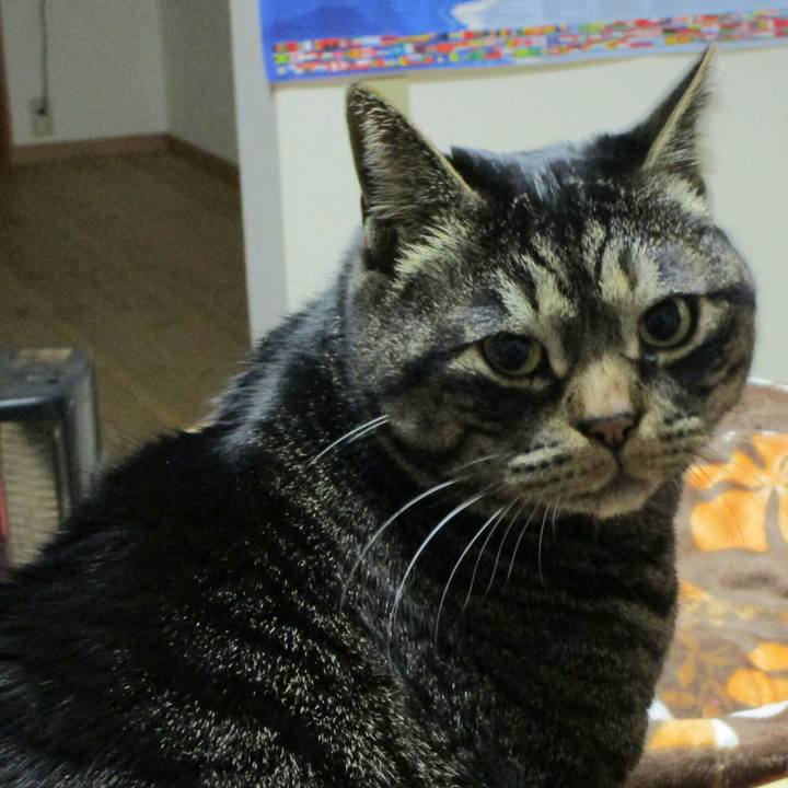 8c6733d2 54c0 41e6 8ed3 8cedba4d07eb 1518012206227