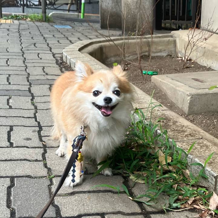 8c676caa 0ed4 4fed 8f74 564bbc061519 1752882067835