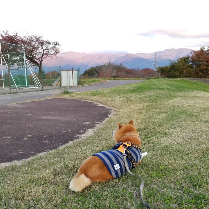 8c6770ed b446 4a61 9326 f41e4988ea59 1635665220217