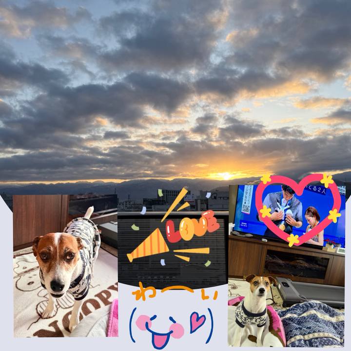 8c678a20 ab3a 4ac2 b758 590a82d8e877 1771290736729