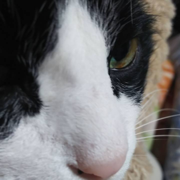 8c67a5ac 1eda 432d 89c8 7947217f7120 1577663462080