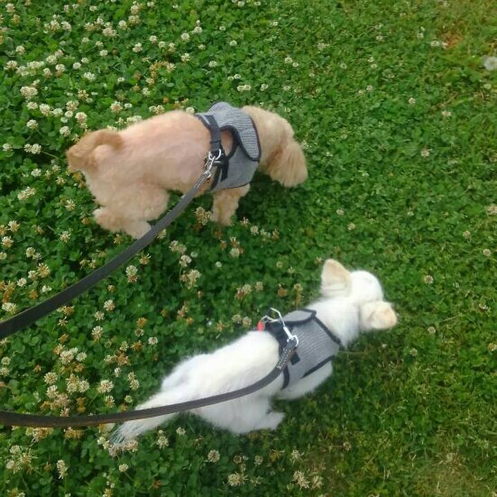 8c67a645 9ec7 4a58 a732 4085249ce85a 1558228571331