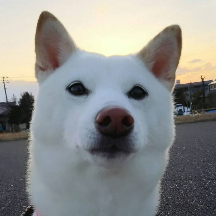 8c67ad4a d8b0 4db7 b4ee 8500dc6adf87 1518944566491