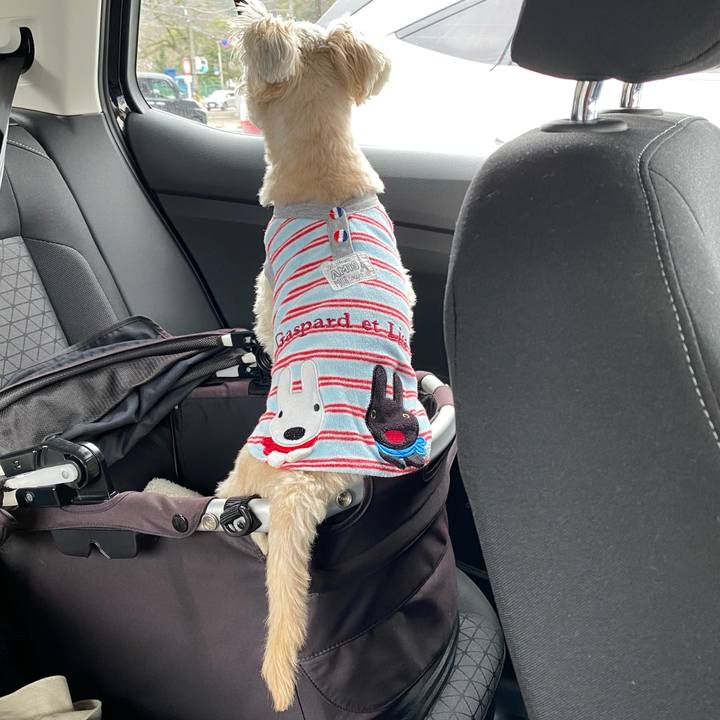 8c67b0f4 1958 41f9 a0d8 e2d89951760f 1648476533034