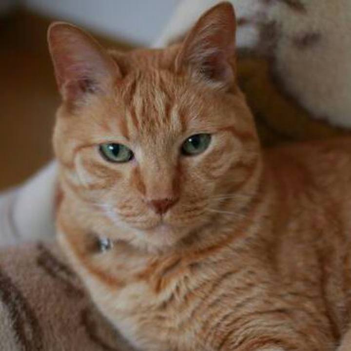 8c67bf3f 7c4e 4f74 9f6b 3c248207a9c2 1514648964611