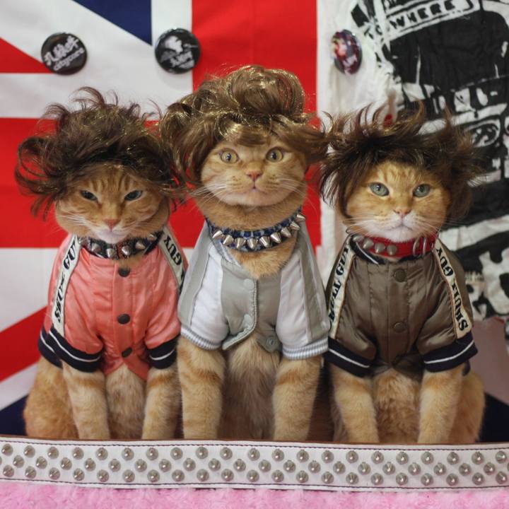 8c67fe79 adf3 493f a04f 39ac4e944f46 1662710760776