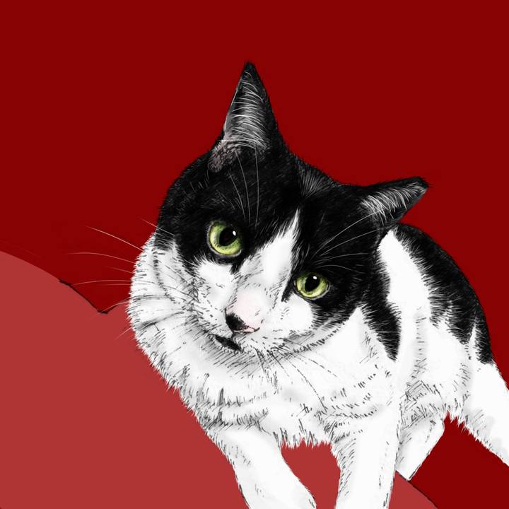 8c682cbf 647c 4308 845c 829fd362738c 1619012430946