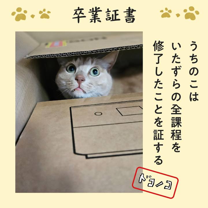 8c683b63 d34f 4c5a 92f8 ba0b584dd24d 1772152044991