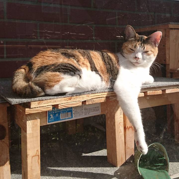 8c68750c 3fcd 4ead 892c 1a78d23cd51f 1556431277779