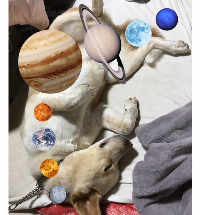 8c68ae23 0e80 4e1f 9fe1 3fce7f7cdf77 1523188279831