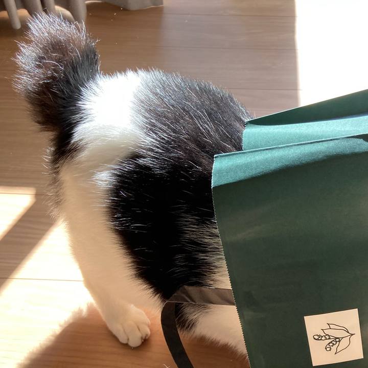 8c68b07b 0c08 4ce3 a301 c5eec91c4496 1571828786037