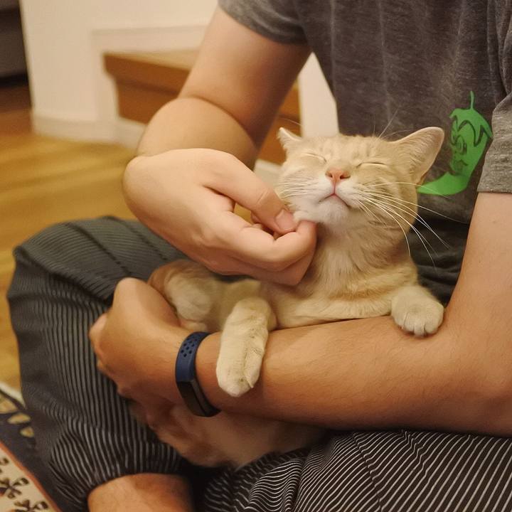 8c68f04c cf02 45b1 9742 02e5919c7006 1582459198801