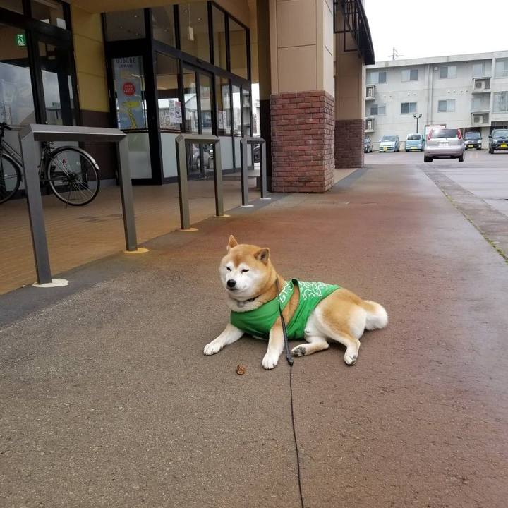 8c68fbe2 429b 4b53 a21b 2c1b4b9ee9bf 1586491932754