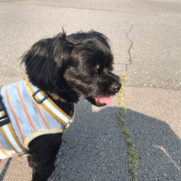 8c69292c 9b06 4414 8b00 61c8987179ee 1564882784543