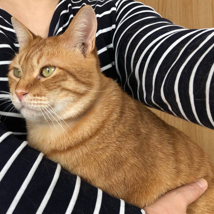 8c69937e ae54 43ca 8ab8 d7ee22b24346 1583022855000