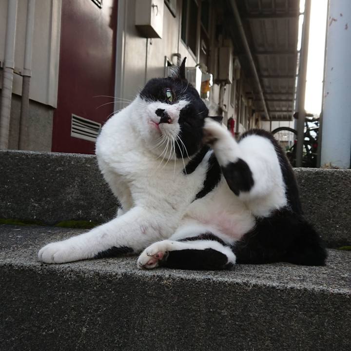 8c69c097 6590 4120 9a6a bbbab9f0aee3 1599119493326