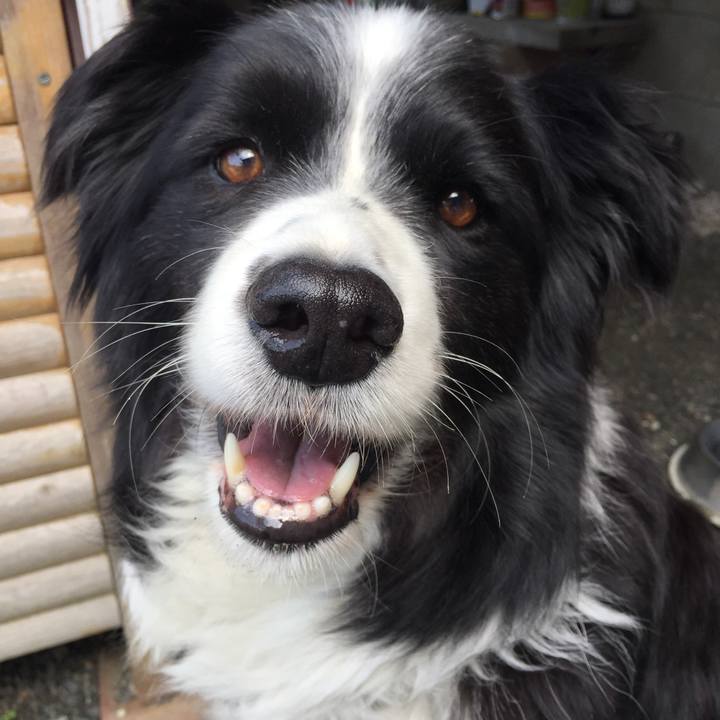 8c69e655 ec53 436a 8635 8a0755b6c161 1560128142683