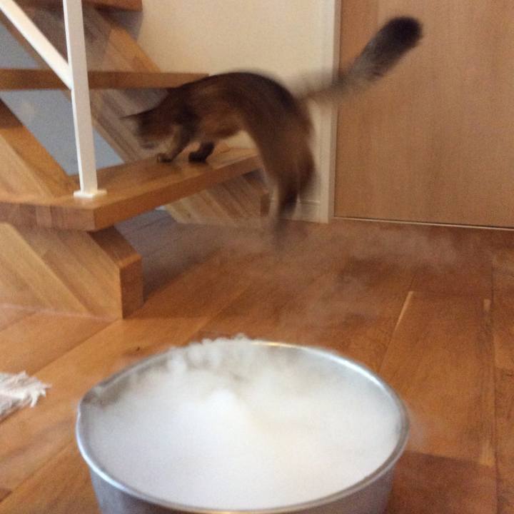 8c69f42f 2ff2 4902 ae85 fd64ef689251 1565346572508