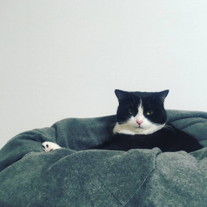 8c69f4f0 34c7 49d0 a571 318a5298d4b9 1572179224840