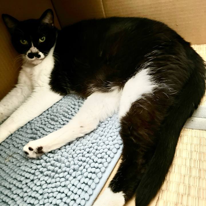 8c69fcba b638 43fe bf57 776c9dfeb23c 1724751942679