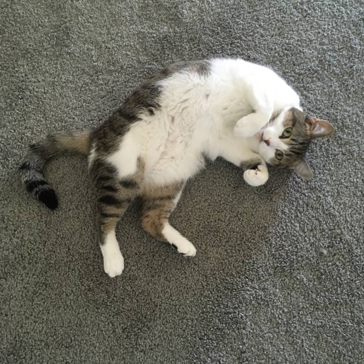 8c6a520a 583d 46f9 9d3b 03776afebb08 1664323361883