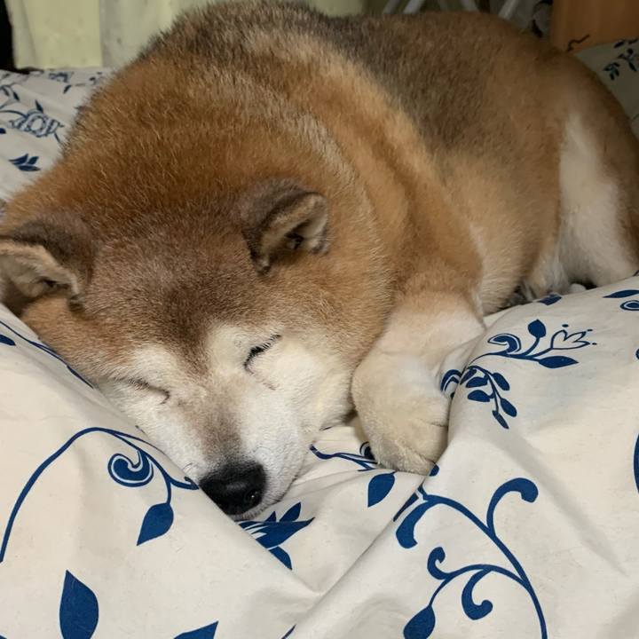 8c6a5545 7a56 4292 9fb0 cf2b46c1b981 1606403407455