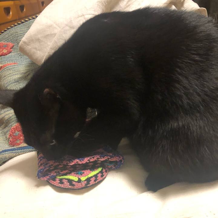 8c6ad89f ad06 4eac 9d79 076ea6a0d483 1545582384527