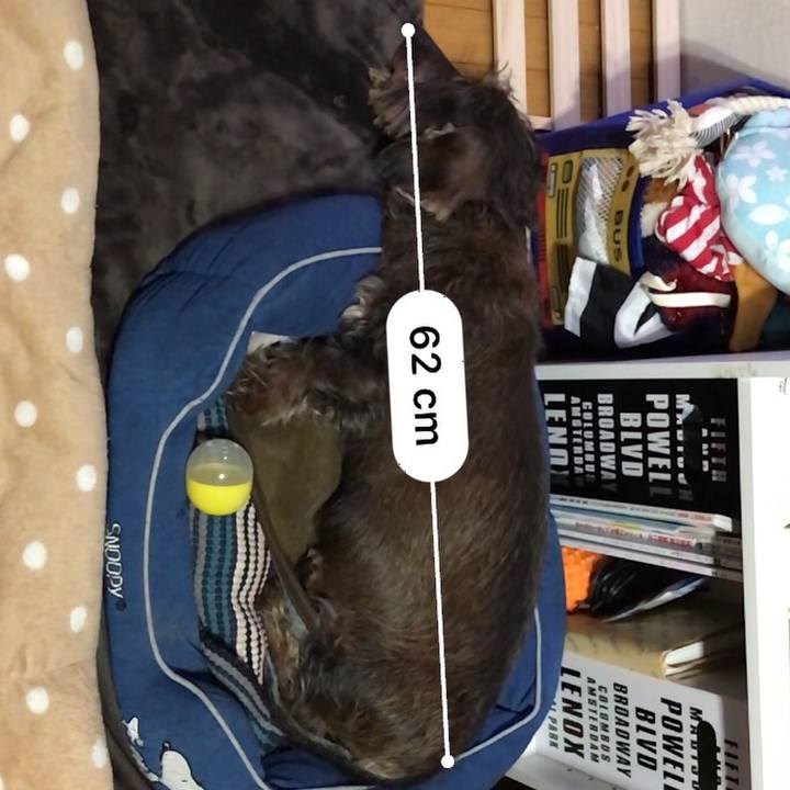 8c6ae00d 3696 4524 a70c 94deb826101a 1550673241696