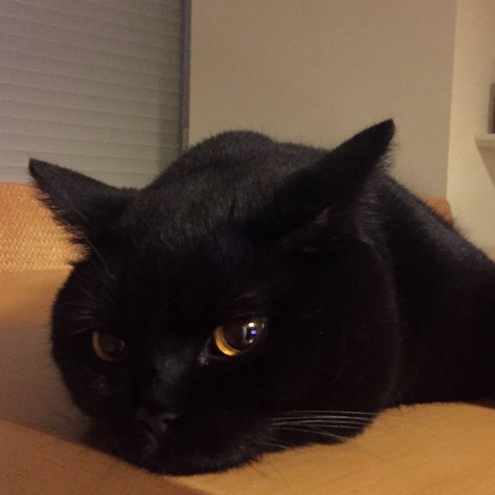 8c6aeafa 1a54 4b82 9088 f1ff4207b291 1534681336704