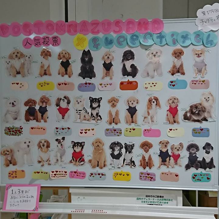 8c6b1348 7865 45df 8a2c 22255753d664 1526361317999