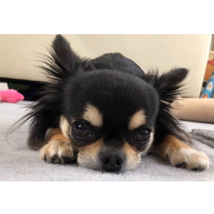 8c6b3f79 29d7 40ab 930d 35c966b5f1be 1586957275662