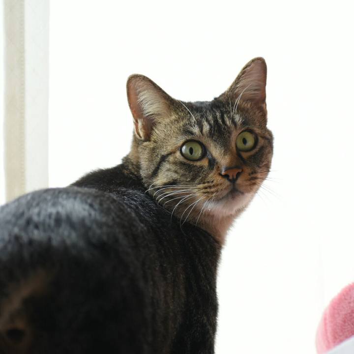 8c6b4836 7565 4fdb ba3c b2e48c6330c5 1508292988058