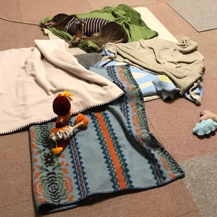 8c6b6107 09ce 4382 aac6 03da9cf41d74 1582241523079