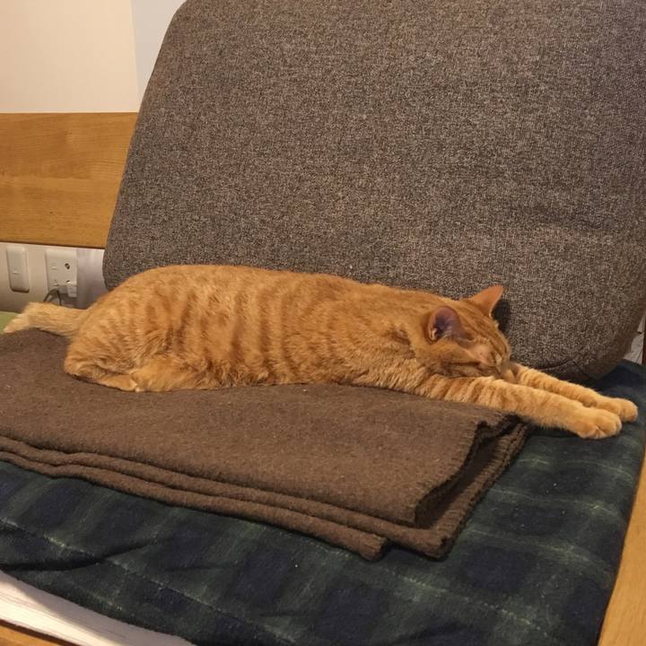 8c6b6c69 09b3 4152 9a5e 376b149ca6a2 1525329247504