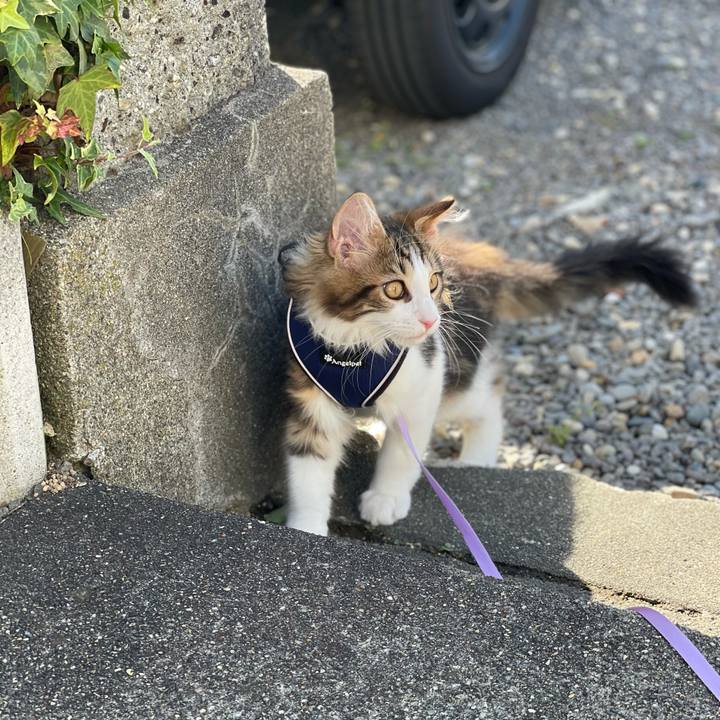 8c6b788c 8301 48b2 b991 6155ef310143 1633750601295