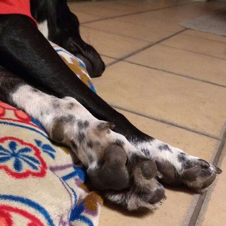 8c6ba10f 62f9 4ae2 966d 9f0e1c6d9cc3 1613212733199