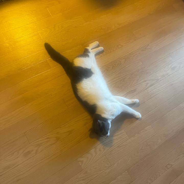 8c6ba207 823c 468e b0e1 7a32c647dd67 1756684823558