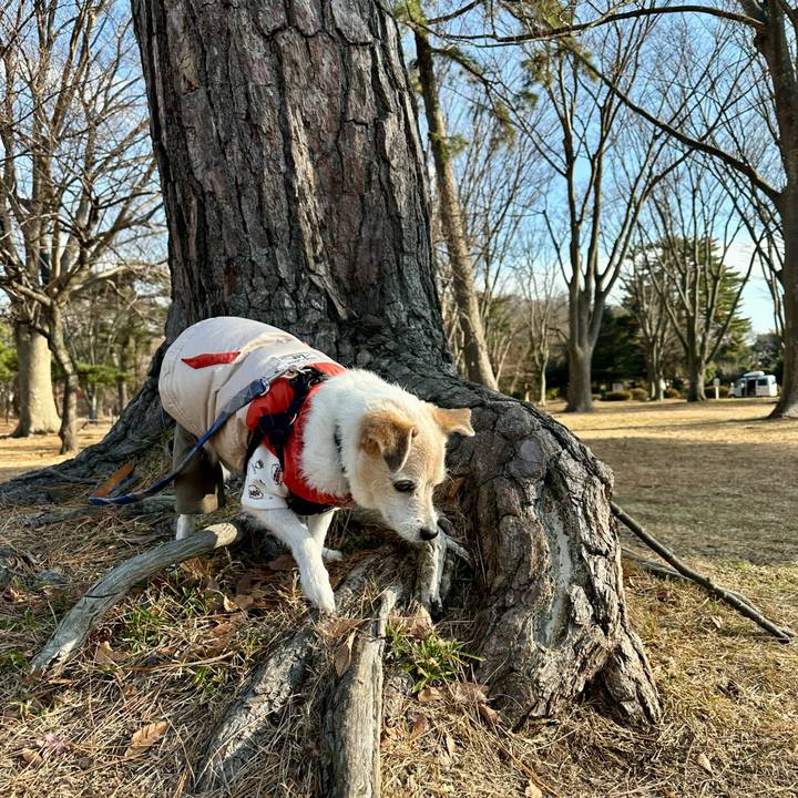 8c6bc49c bec7 4949 84e3 d36beb9a2f57 1765963820873