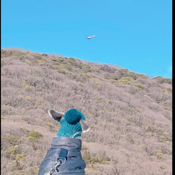 8c6bd3b3 201e 4cfd 885b aff238c11276 1773302934060