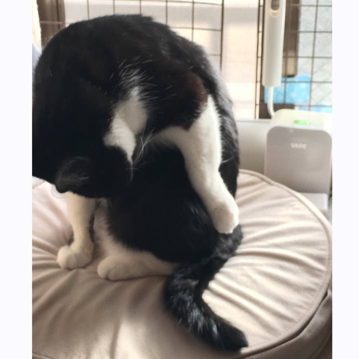 8c6be3dd c3f1 4110 971e ad2315d24d9d 1540191115440